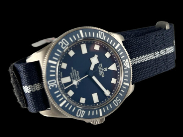 Tudor Pelagos FXD – Bild 2