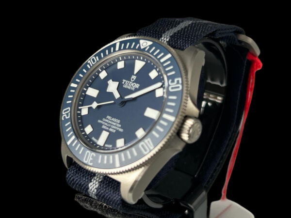 Tudor Pelagos FXD – Bild 4