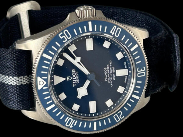 Tudor Pelagos FXD – Bild 5