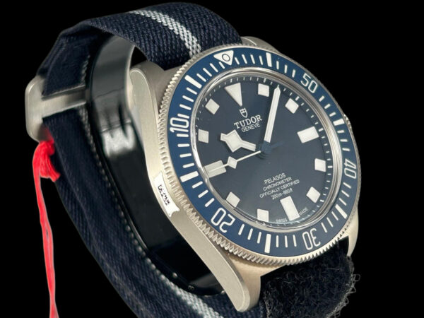 Tudor Pelagos FXD – Bild 2